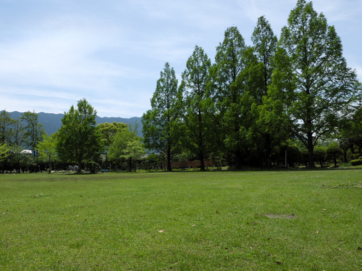 d0355116_20262730.jpg