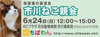 6/12引き出し編・レポート紹介　全　４8頭_f0078320_20190559.jpg