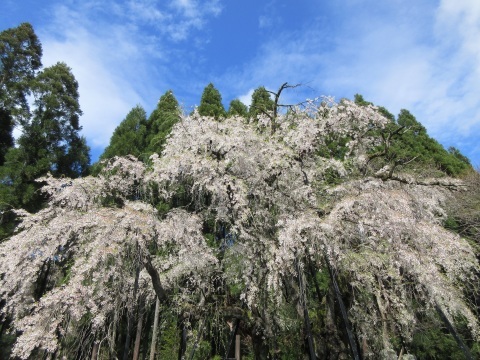 f0149422_22304175.jpg