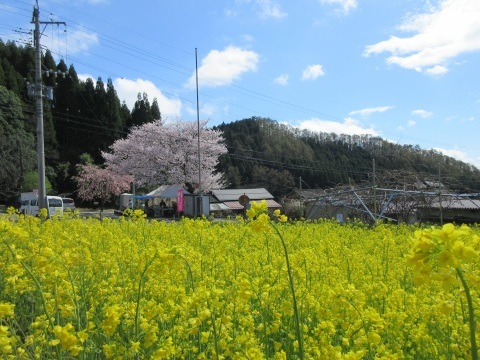 f0149422_22313200.jpg