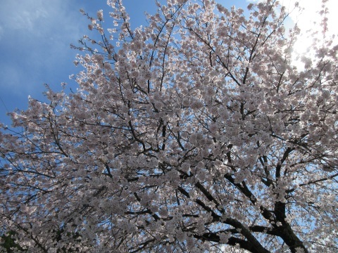 f0149422_22320399.jpg