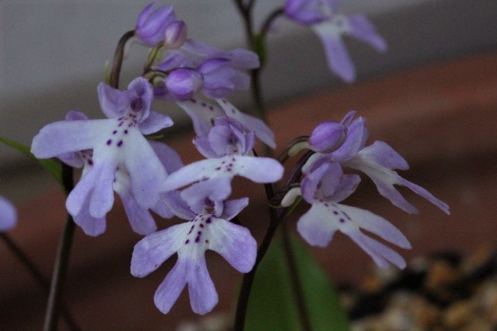 f0354923_23305909.jpg