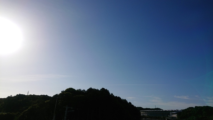 f0061531_775824.jpg
