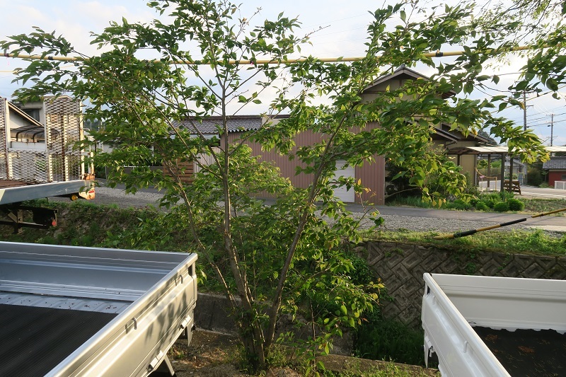 f0076731_14500430.jpg