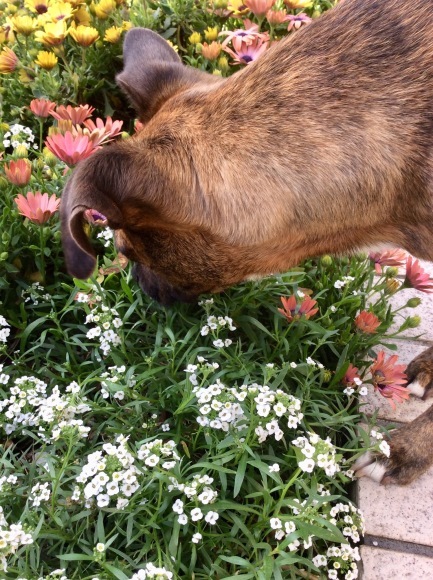 d0269832_07185398.jpeg