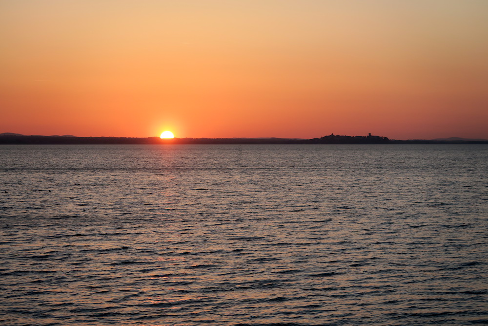 ザリガニを鳥捕る湖畔の春の夕暮れ_f0234936_7174274.jpg