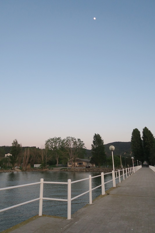 ザリガニを鳥捕る湖畔の春の夕暮れ_f0234936_7213212.jpg