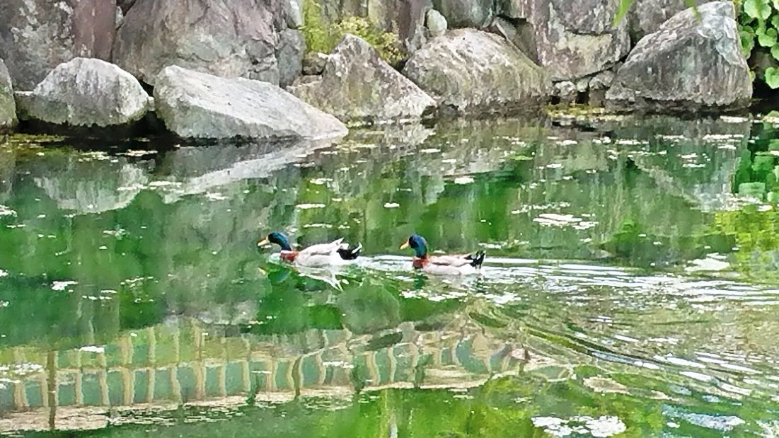 c0175339_22463336.jpg