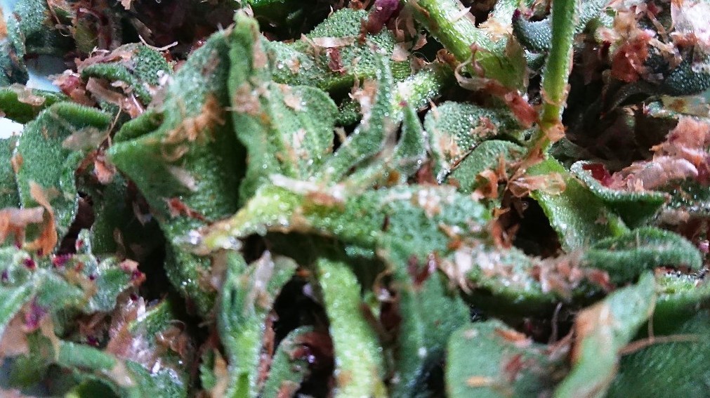 c0175339_22553135.jpg