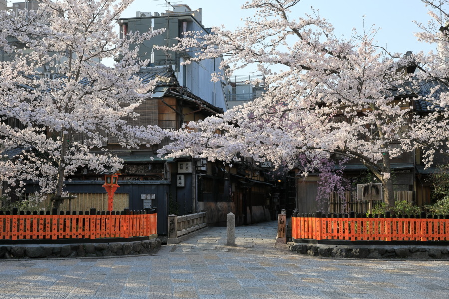 祇園白川巽橋と蹴上インクラインの桜 : ぴんぼけふぉとぶろぐ2 祇園白川巽橋と蹴上インクラインの桜 : ぴんぼけふぉとぶろぐ2