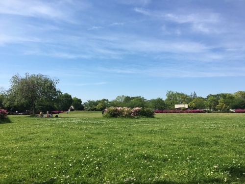 b0330040_21100182.jpeg