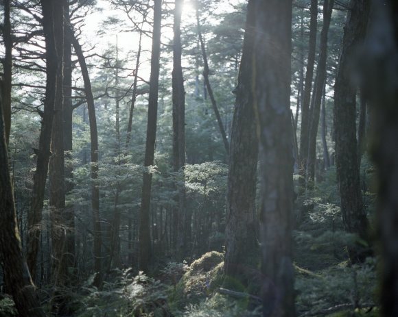 フィルム登山部で金峰山_f0251840_09351928.jpg