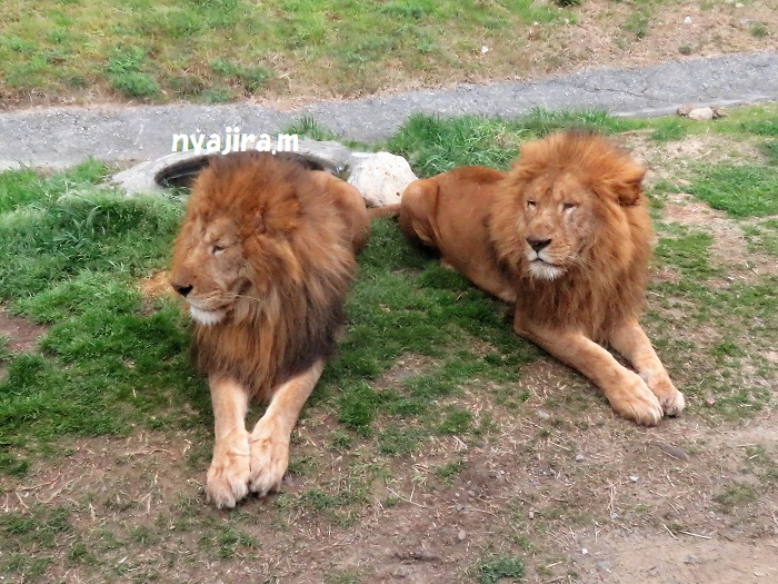 f0002743_27815.jpg