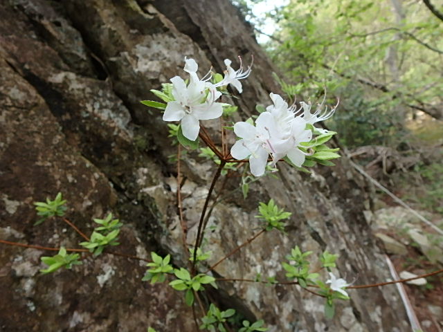 f0334143_8385633.jpg