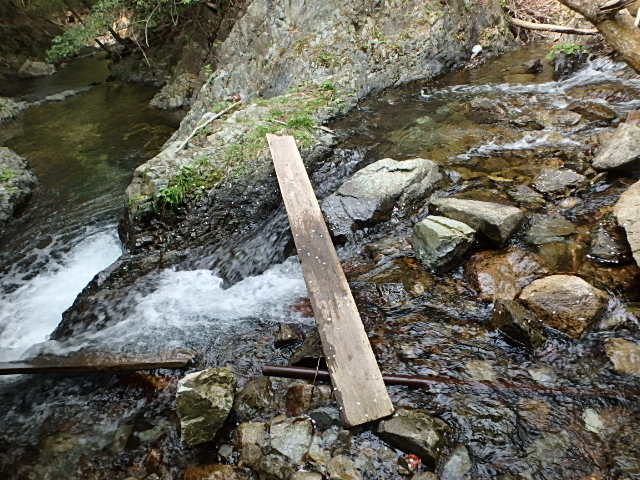 f0334143_8391590.jpg