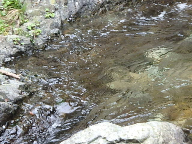 f0334143_8392959.jpg