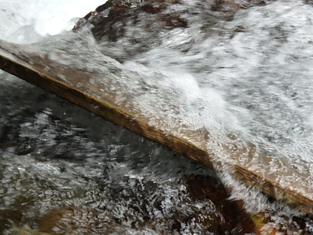 f0334143_8413025.jpg