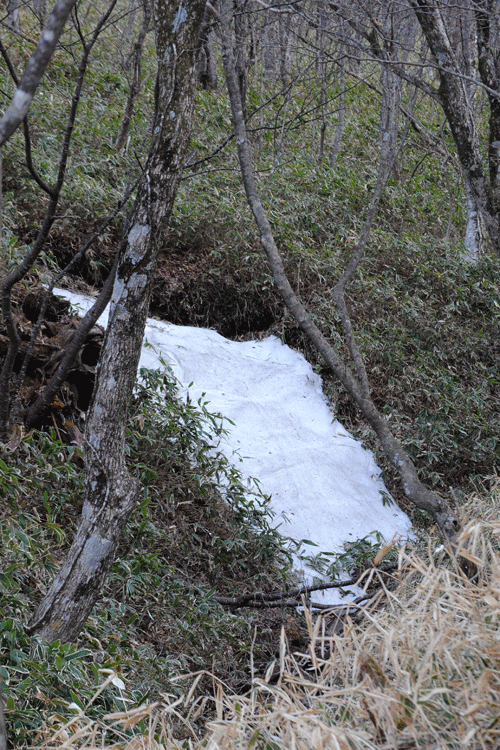 a0001354_00561090.gif