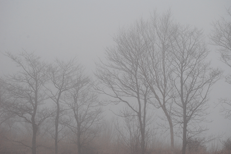 a0001354_01004226.gif