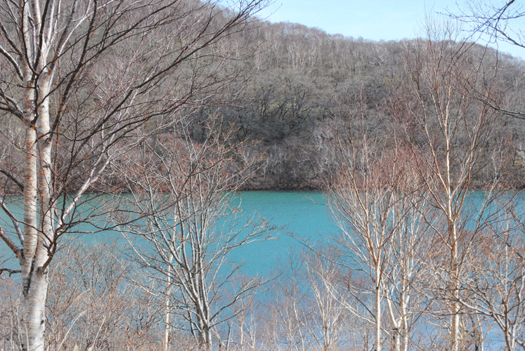 a0001354_01053484.gif