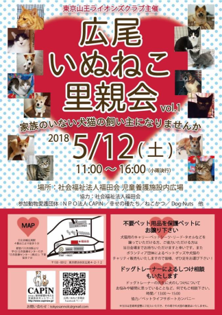 里親募集のお手伝い・ゴールデンの男の子の里親さん募集しています!!_c0372561_00415665.png