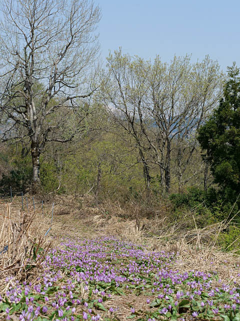 f0199866_06054937.jpg