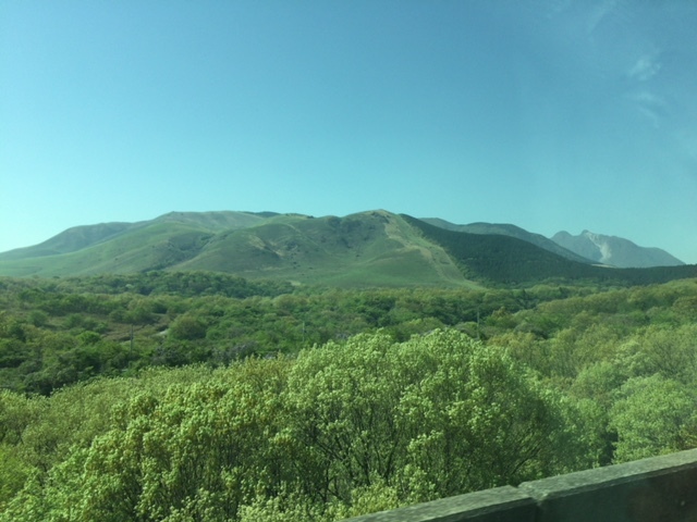 b0112371_11231949.jpg