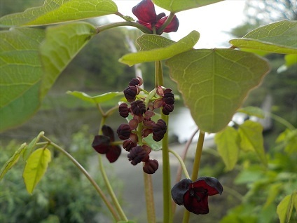 e0126875_00120198.jpg