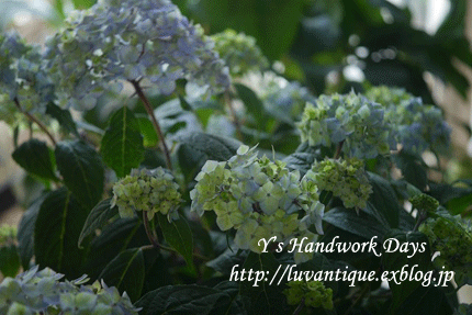 f0330978_12422739.gif