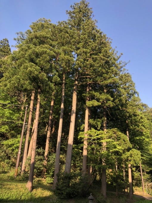 春の養生リトリートin上越_d0182179_20484862.jpg