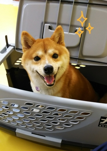 トレーニングブログ_f0357682_21475726.jpg