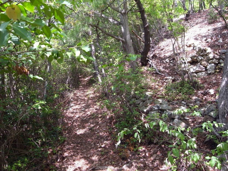 f0325295_14313792.jpg