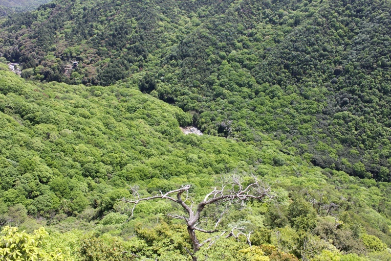 f0325295_15114746.jpg