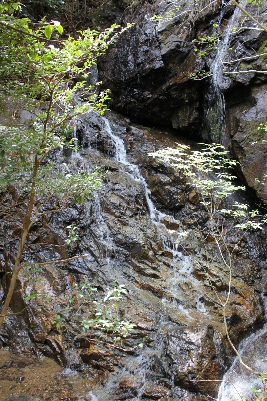 f0325295_15115985.jpg