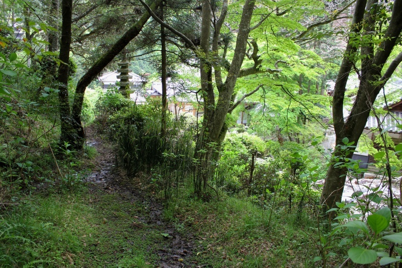 f0325295_15120233.jpg