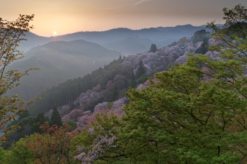 吉野山の夜明け　～下千本 - katsuのヘタッピ風景