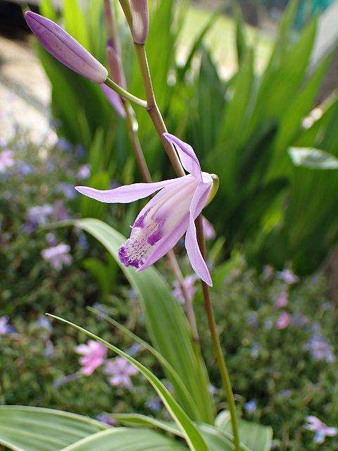 e0289203_21080007.jpg