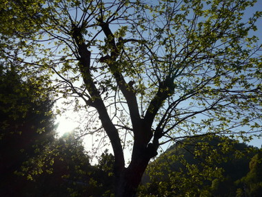 a0238314_10053732.jpg
