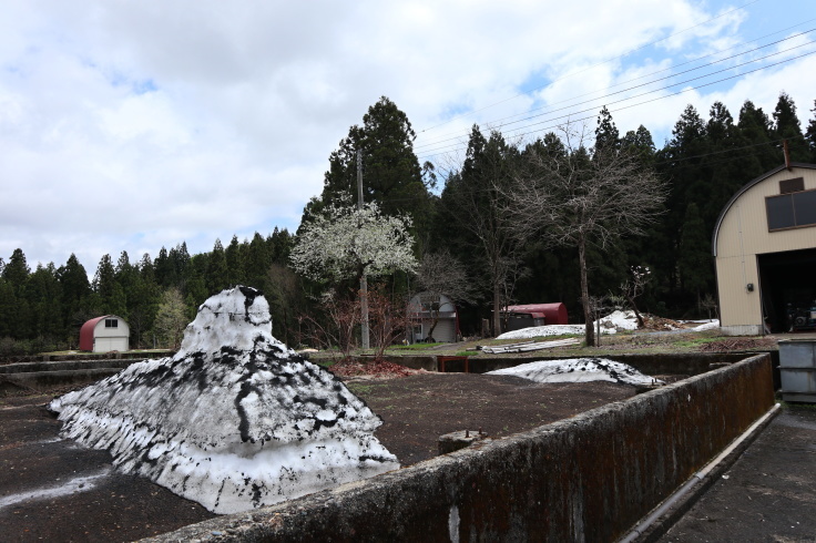 f0067514_08335189.jpg