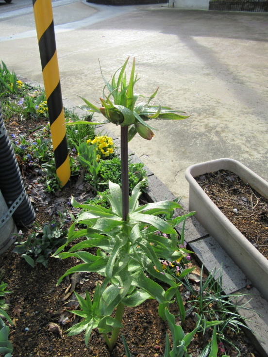 f0067514_08410639.jpg
