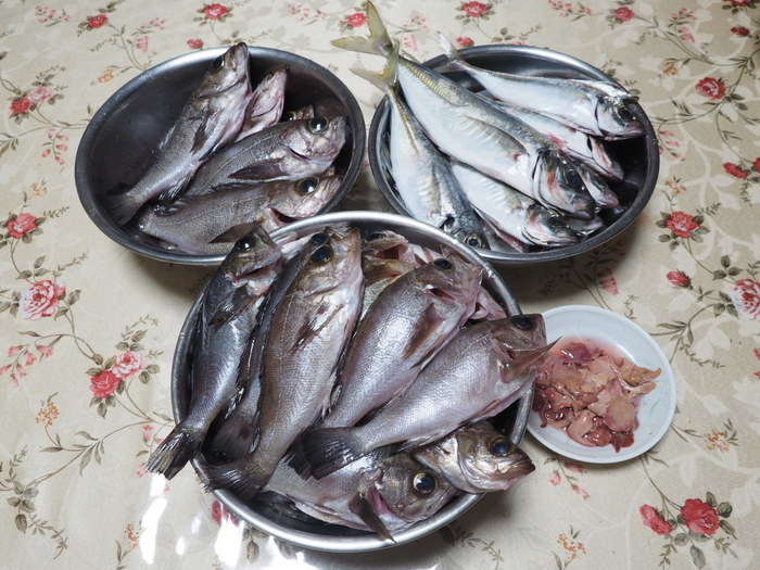 夫の釣果_c0116915_23513078.jpg