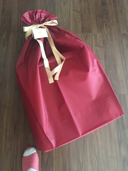 引越し完了！ 人間ルンバに愛の手が…やって来た。_d0348118_11493870.jpeg