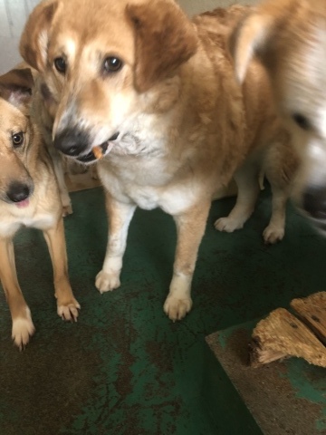 f0078320_18253605.jpeg
