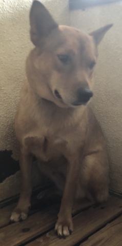 f0078320_18423725.jpeg