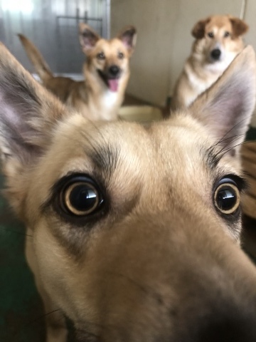 f0078320_19022898.jpeg