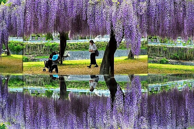 元木義明さんの作品です　和気ふじ公園_a0300121_19255815.jpg