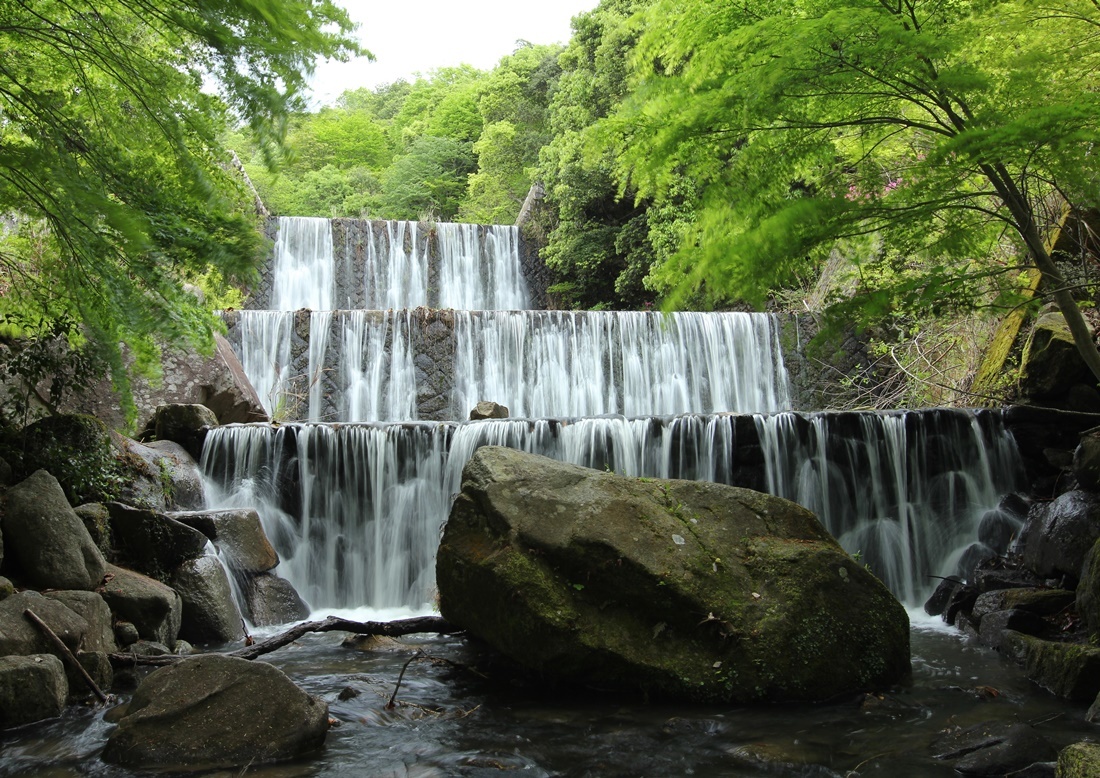 新緑の水分峡森林公園_f0310221_23121658.jpg