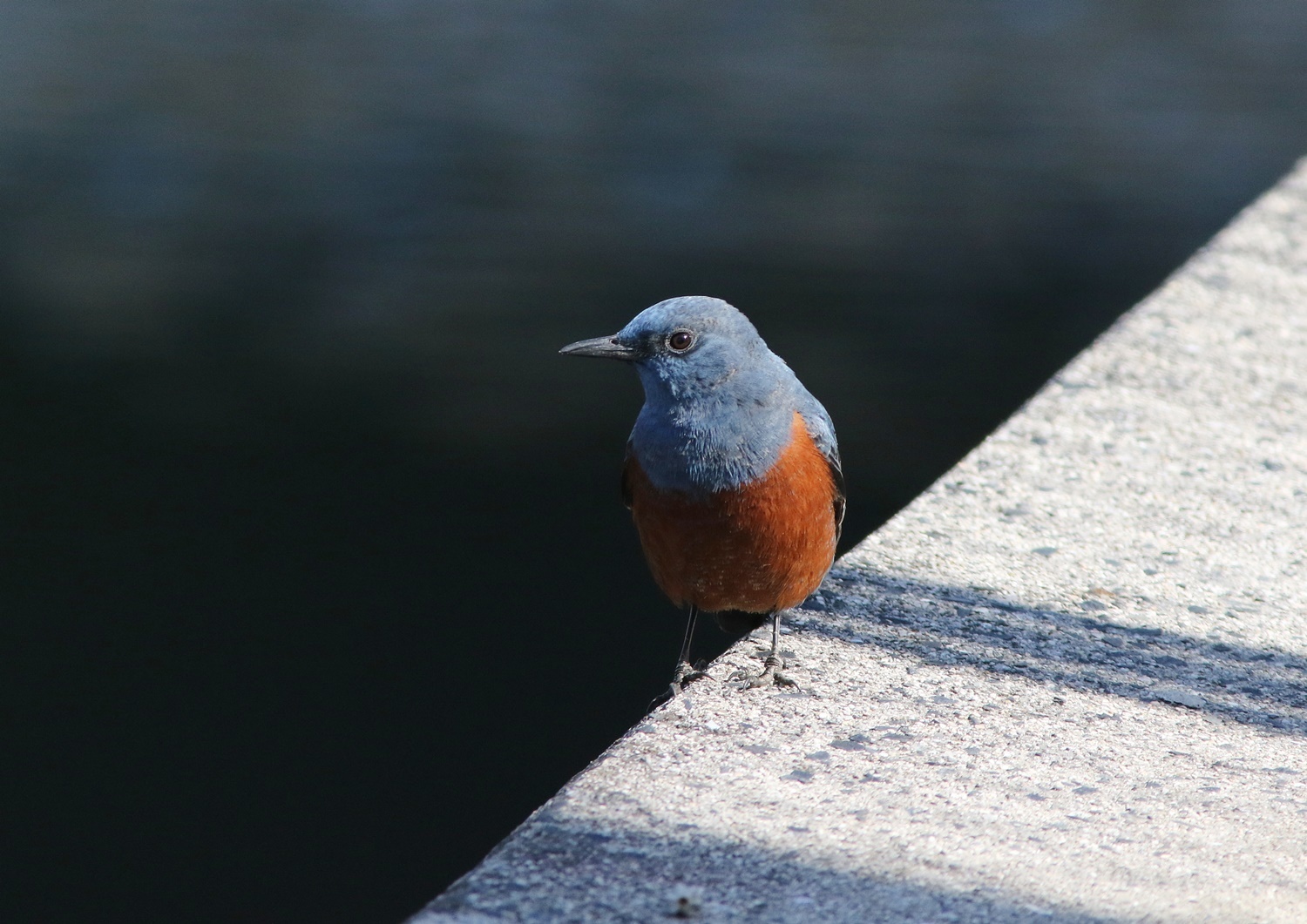 新緑の水分峡森林公園_f0310221_23373272.jpg