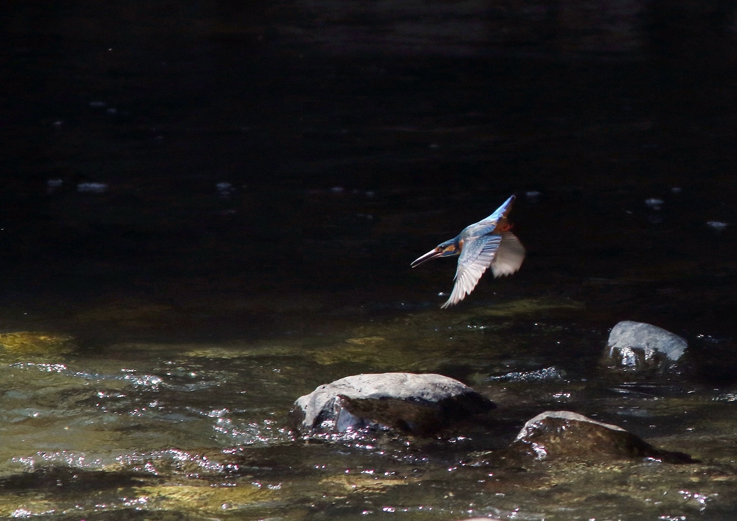 新緑の水分峡森林公園_f0310221_23441236.jpg