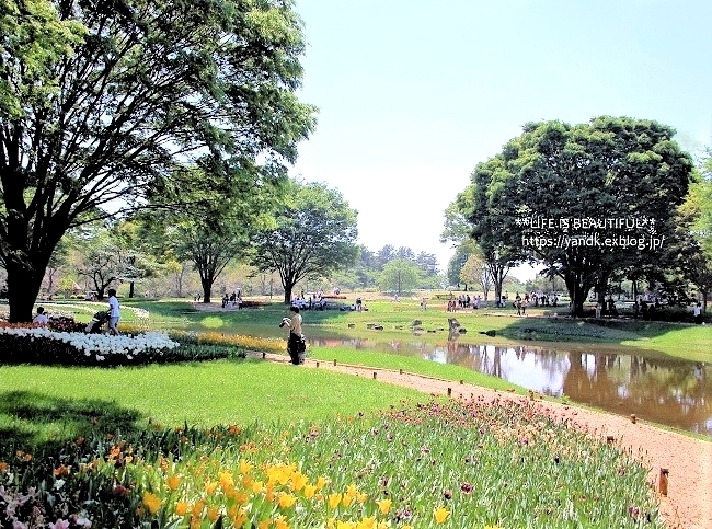新緑の昭和記念公園_d0083623_14054949.jpg